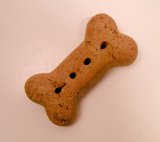 dog biscuit